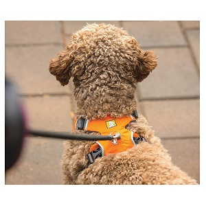 Ruff Wear Front Range Dog Harness