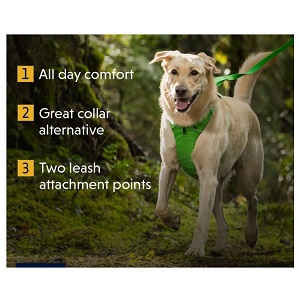 Ruff Wear Front Range Dog Harness for Adult Dog