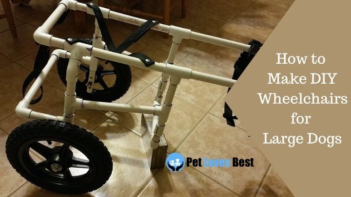 How to Make DIY Wheelchairs for Large Dogs Featured Image