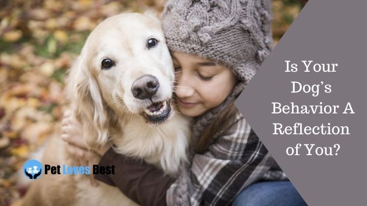 Is Your Dog’s Behavior A Reflection of You Featured Image